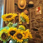 Azoka By The River- Proenca-a-nova Holiday home