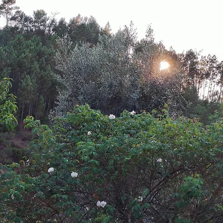Azoka By The River- Proenca-a-nova Σπίτι διακοπών