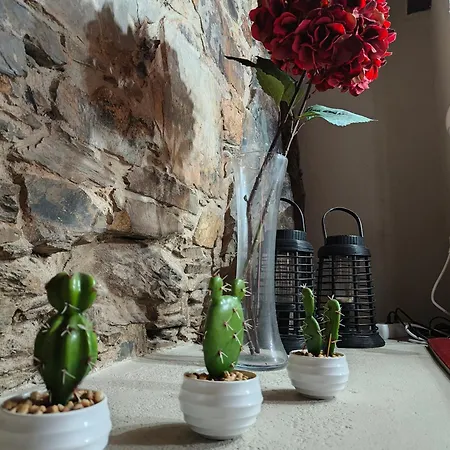 Σπίτι διακοπών Azoka By The River- Proenca-a-nova