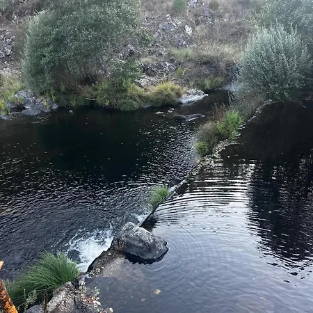 Azoka By The River- Proenca-a-nova Maljoga de Proenca