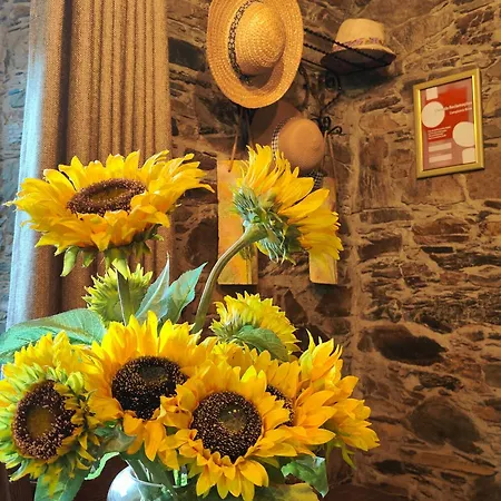 Azoka By The River- Proenca-a-nova Σπίτι διακοπών