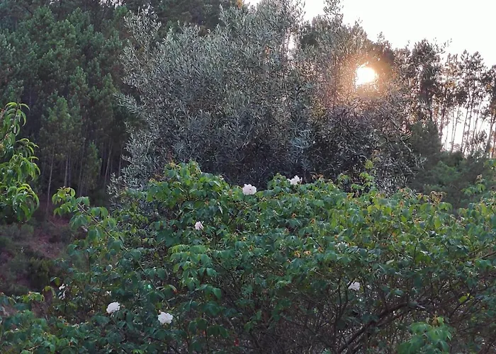 Azoka By The River- Proenca-a-nova Semesterbostad