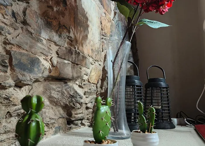 Semesterbostad Azoka By The River- Proenca-a-nova