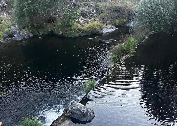 Azoka By The River- Proenca-a-nova Maljoga de Proenca