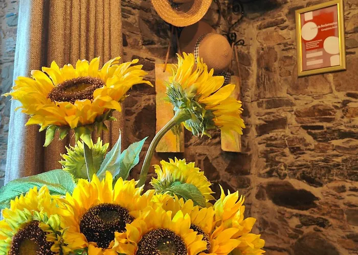 Azoka By The River- Proenca-a-nova Semesterbostad